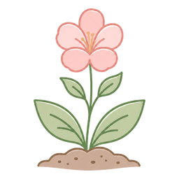 Flower growing in soil